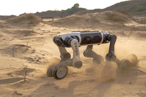 DEEP Robotics